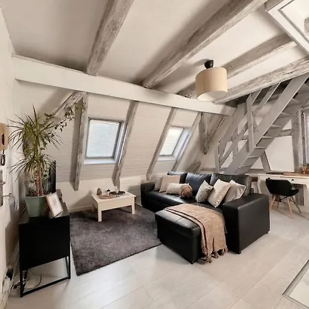 Apartment Ecrin Sous Les Toits - Charme Et Lumineux