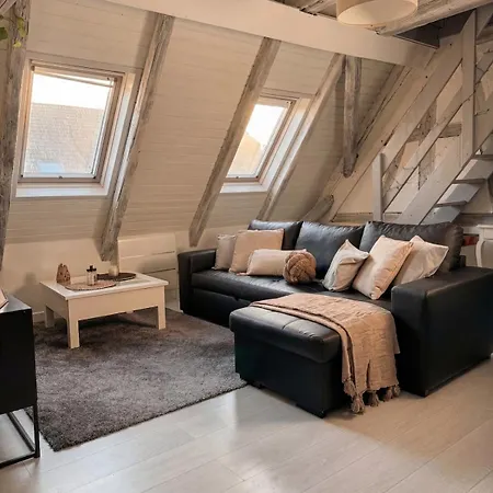 Apartment Ecrin Sous Les Toits - Charme Et Lumineux *