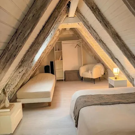 Ecrin Sous Les Toits - Charme Et Lumineux Apartment Schiltigheim